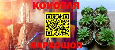 apvp Кинель