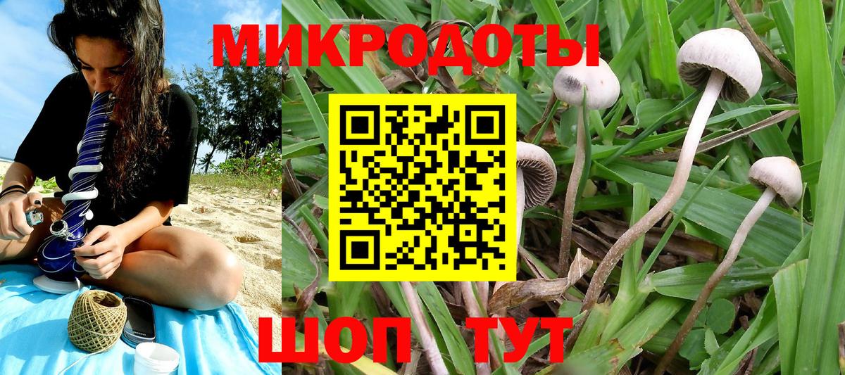 Коркино  Галлюциногенные грибы мухоморы  Вход с VPN 
